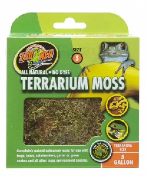 Terrarium Moss S